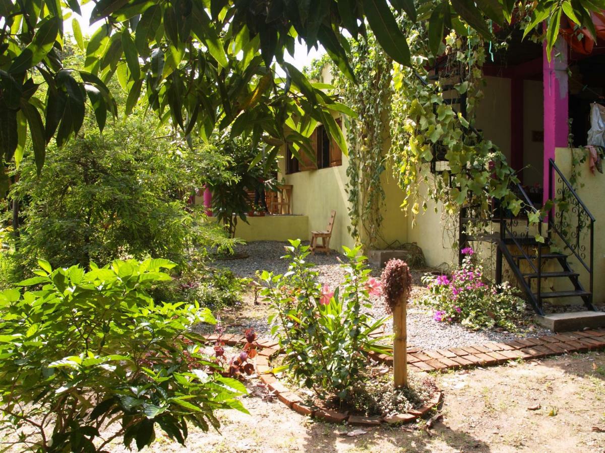 Sistarasta Hotel Palomino Buitenkant foto